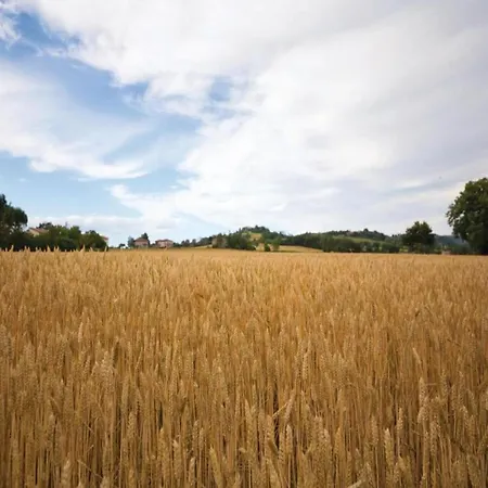Monte House Umbria With Pool And Garden Monte Castelli