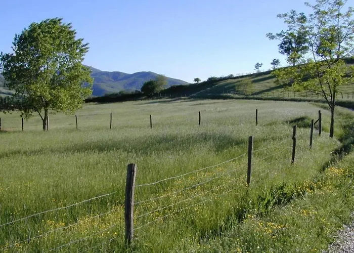 Monte House Umbria With Pool And Garden Casa vacanze