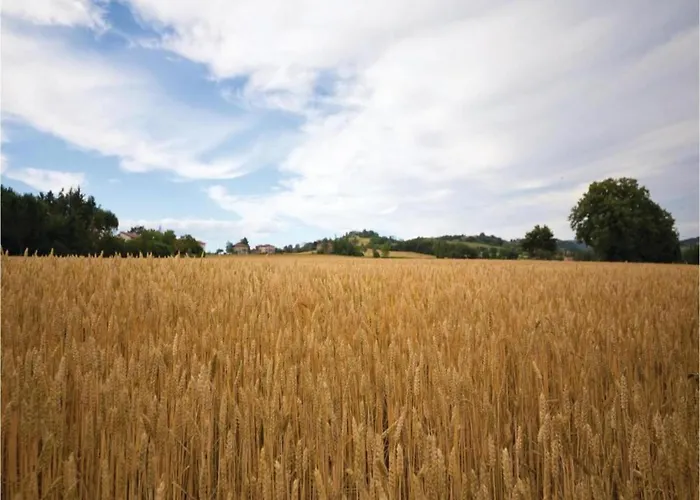 Monte House Umbria With Pool And Garden Monte Castelli